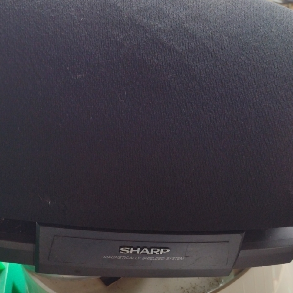 Sharp Black Speaker